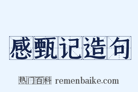 感甄记造句是什么意思的图片